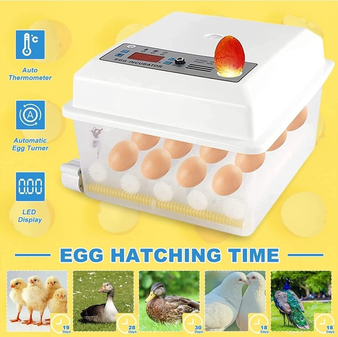 Generic 56 Egg Incubator Full Automatic AC/DC(uses Electricity Or Solar Battery) incubaor, incubator price, dim fotano mesin, Best incubator machine,