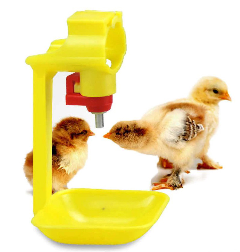 1 pcs Poultry Waterer Drinking Cups For Chicken Automatic Drinker Nipple For Pipes Ball Nipple Poultry Feeding Waterer